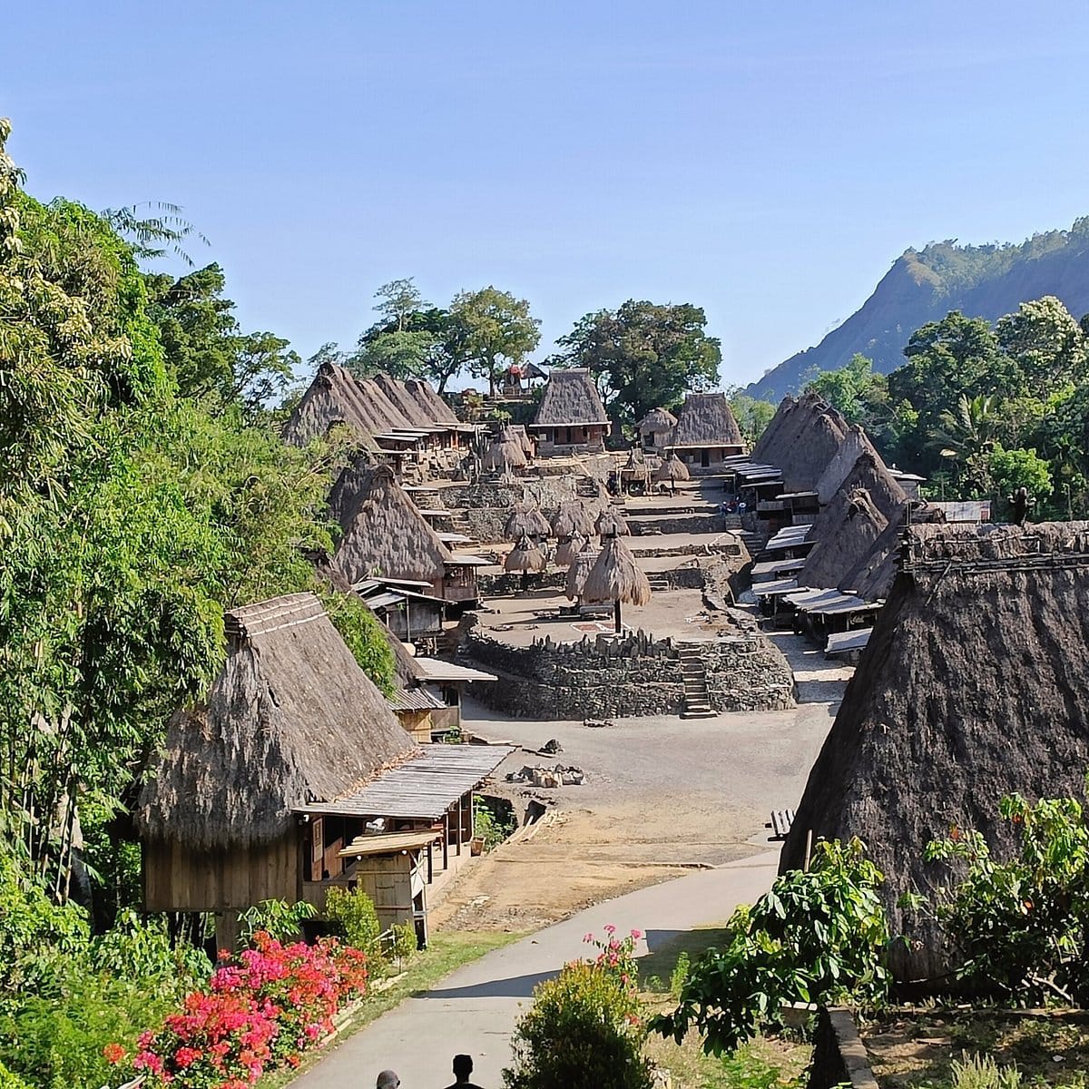 Wae Rebo One Day Trip